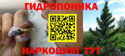 круглые Гатчина