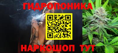 ешки Гагарин