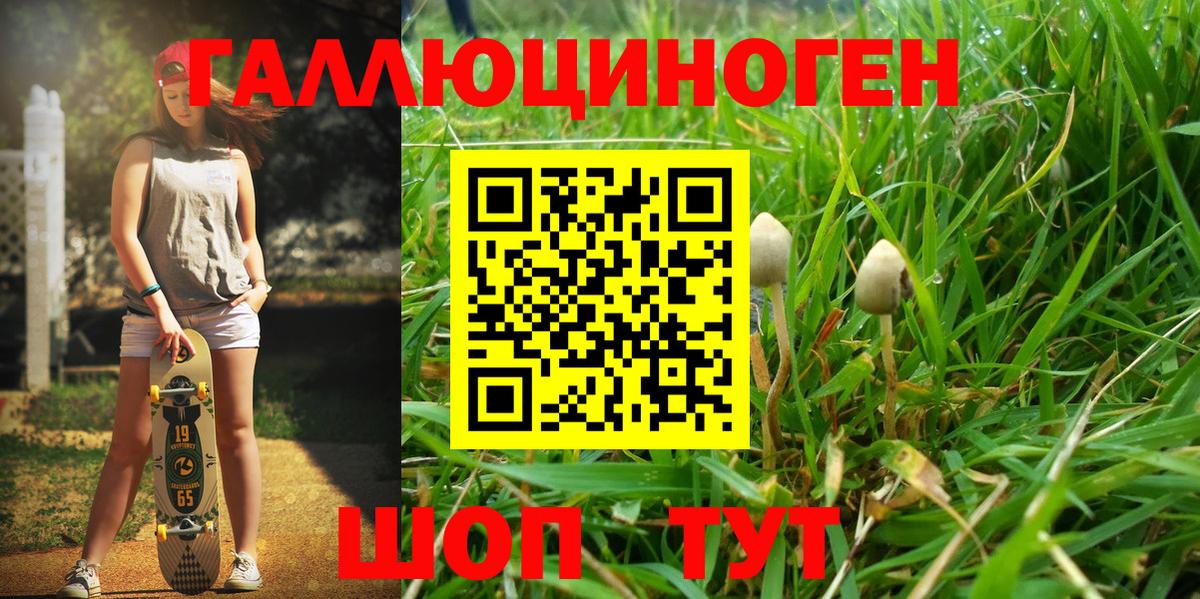 Псилоцибиновые грибы ЛСД Гудермес